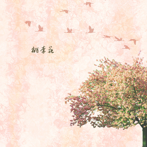 尘埃外 (小提琴)