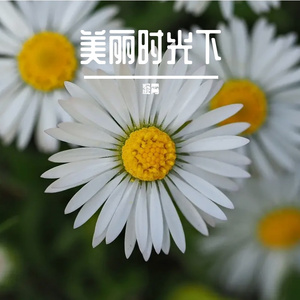 寻她