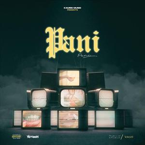 Pani