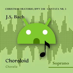 Christmas Oratorio, BWV 248 - Cantata nr. 3: 26 - Lasset uns nun gehen gen Bethlehem (Emphasised voice and other voices)
