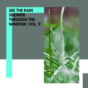 Primeval Forest Ambience