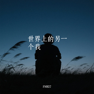 世界上的另一个我