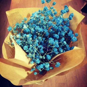 树读（Cover 王俊凯）