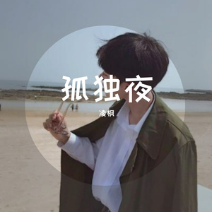 孤独夜