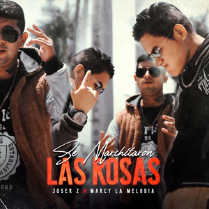 Se Marchitaron Las Rosas