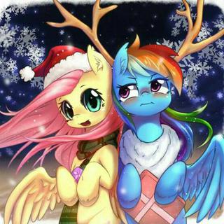 my little pony天马组/flutterdash专场