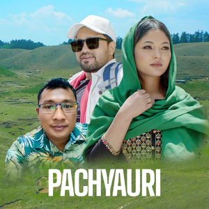 Pachyauri