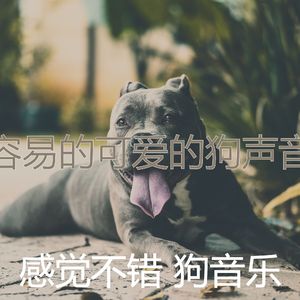 温和训练你的狗梦想