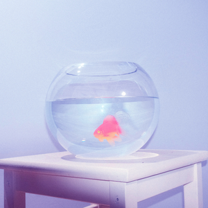 never better (slowed + reverb)