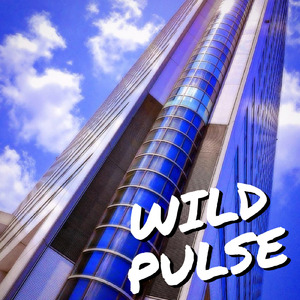 WILD PULSE