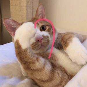 喜欢你(cover王艺瑾版)（翻自 陈洁仪）