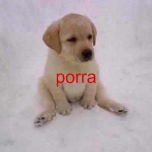 tenho coisa pra contar