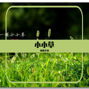 小小草（通俗版）