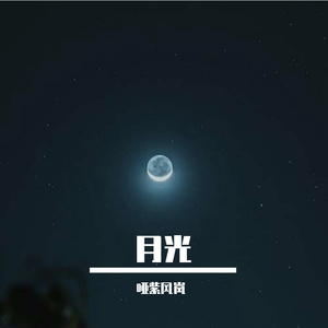 逐梦的闪耀征程