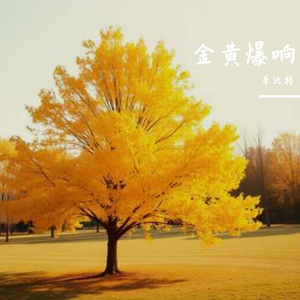 金黄爆响