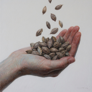 Pocket Full of Seeds