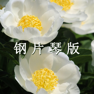 美丽的时刻（钢片琴）