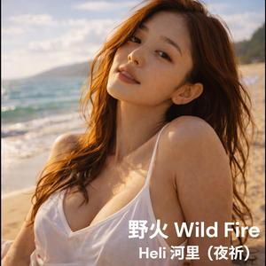 野火 Wild Fire (feat. 夜祈)