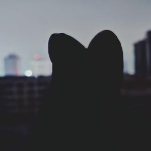 我还想她（低音男声片段）