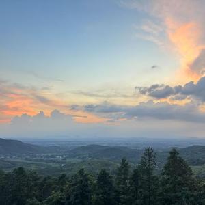 雁儿飞过心自宽