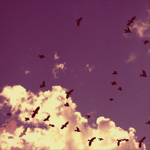 Silver Line (Silver Soul)