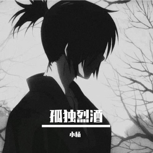 我有孤独和烈酒