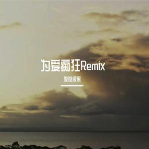 为爱痴狂remix