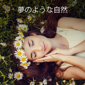 きらきら光る光