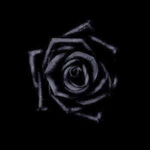 她今天喷的香水有点好闻