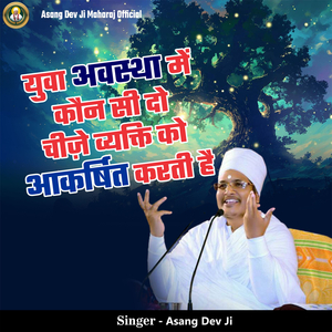 Yuva Avastha Me Kaun Si Do Cheeje Vyakti Ko Aakarshit Karti Hai