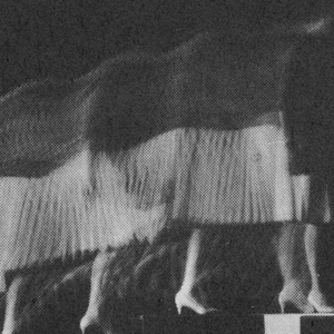 Live At St. Vitus 6.19.12