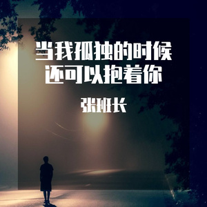 当我孤独的时候还可以抱着你