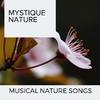 Discover Bliss Nature Music - Blissful Fire Heat