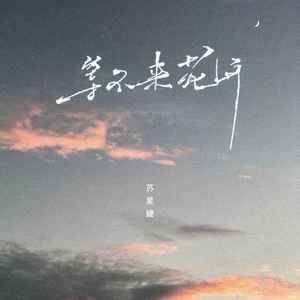 等不来花开 (DJ版)