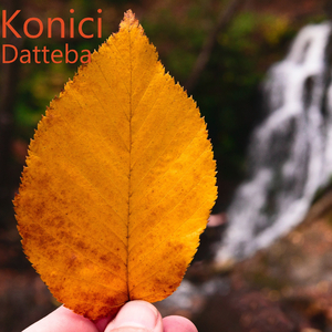 Hitsuji (Instrumental)