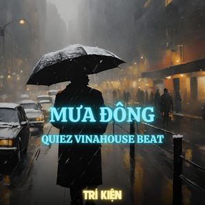 Mưa Đông (Quiez Vinahouse Beat)