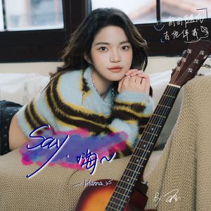 Say，嗨