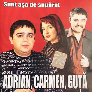 Sa Ai Sange De Roman