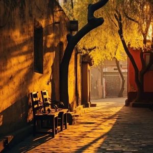 那些遗忘的记忆