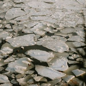 sorry,but I love you(demo)