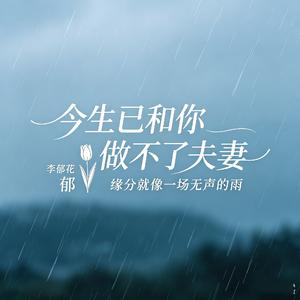 今生已和你做不了夫妻(缘分就像一场无声的雨）