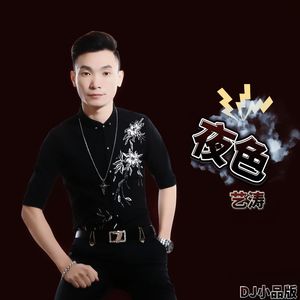 夜色（DJ小品版）