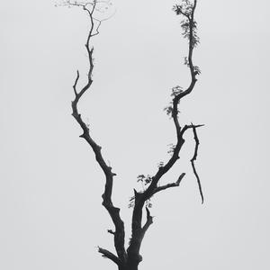Unlost
