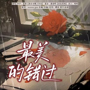 最美的错过 伴奏