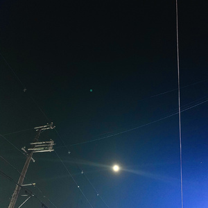 月が綺麗な夜は