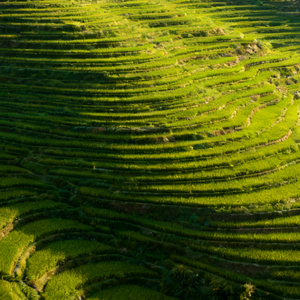 Jar Of Love (Album Version)