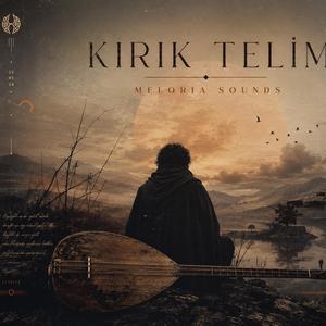Kırık Telim