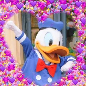 Flower Forever（Prod by Ljx Ghost）