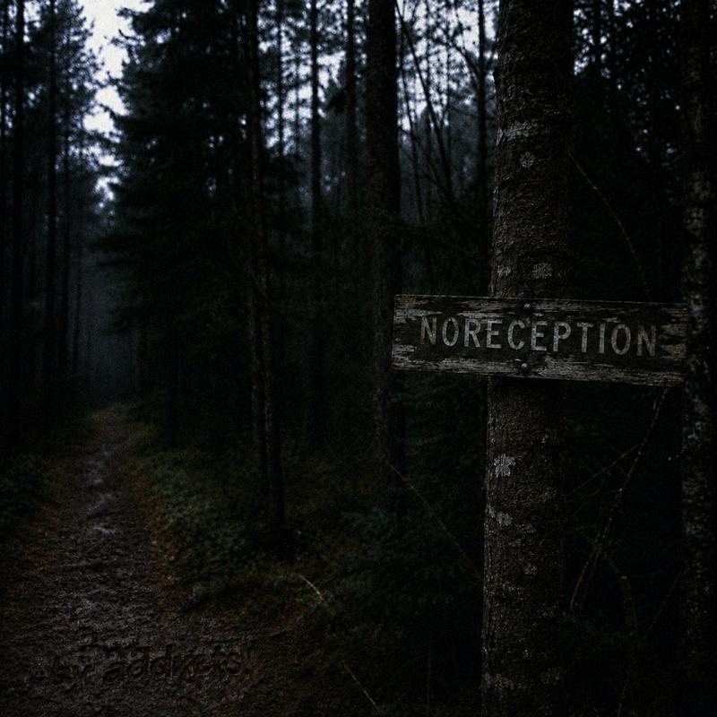 NORECEPTION封面