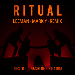 Tiësto-Ritual（leeman / mark y remix）